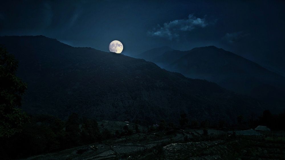 Фотография автора James Timsena