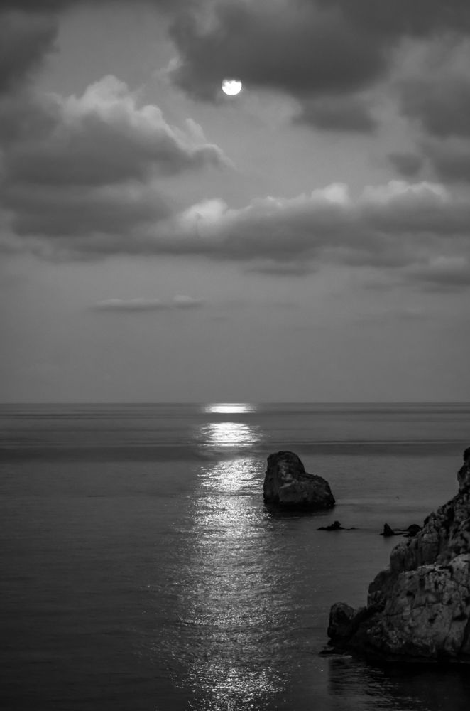 Photograph by Teresa Molinaro