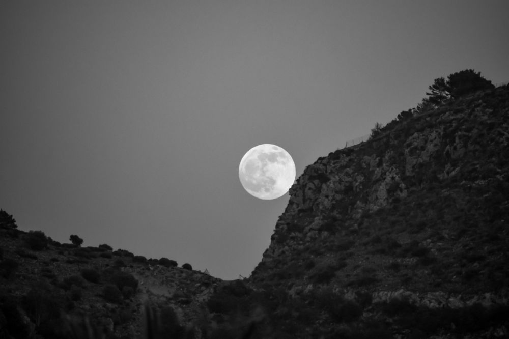 Photograph by Teresa Molinaro