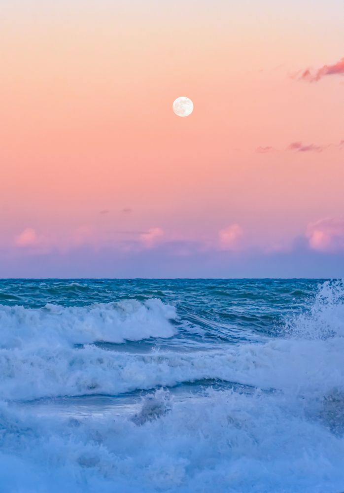 Photograph by Teresa Molinaro