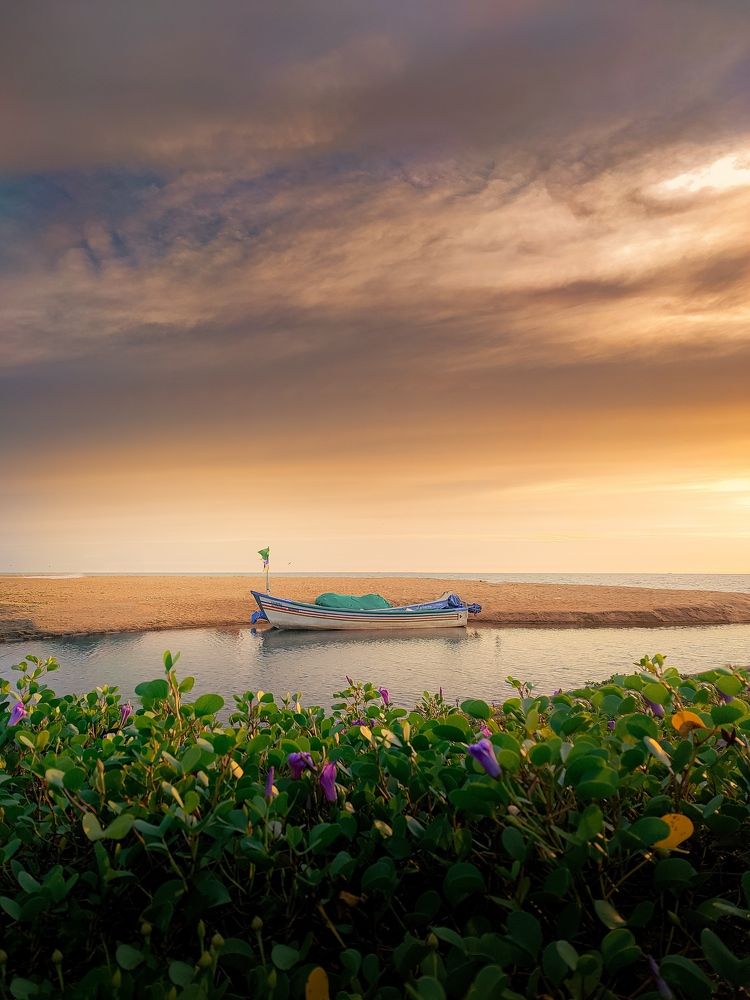 The sky is putting on a show!