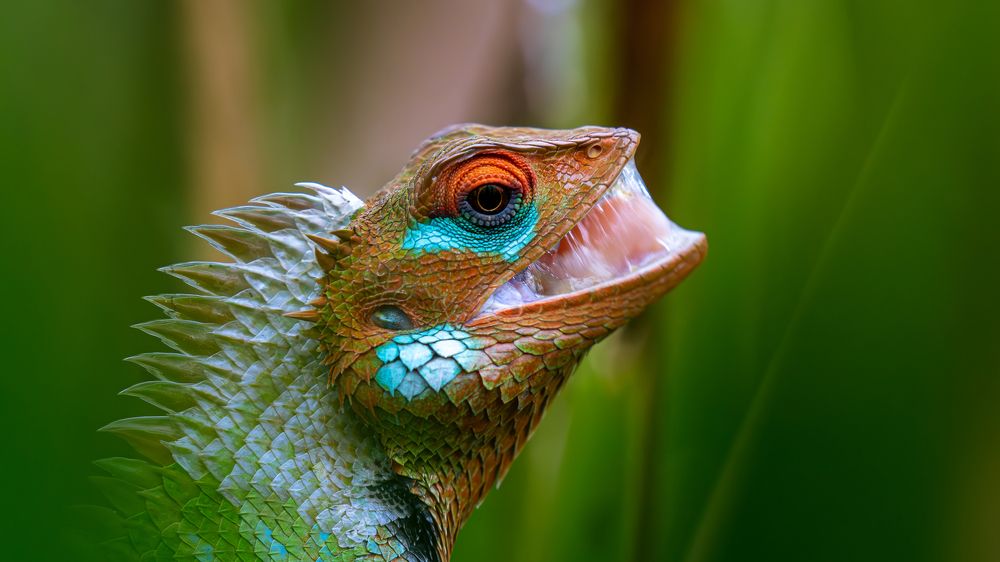 Фотография автора Raoul Rutnam