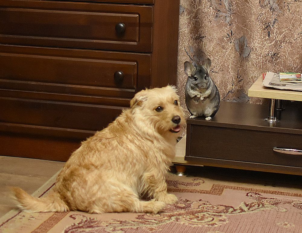 Photograph by Владимир Воложинский