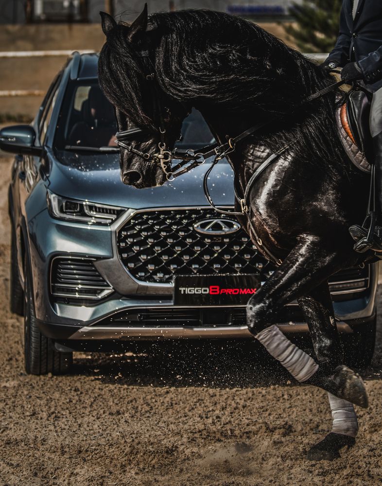 Фотография автора Jalal Ibrahim