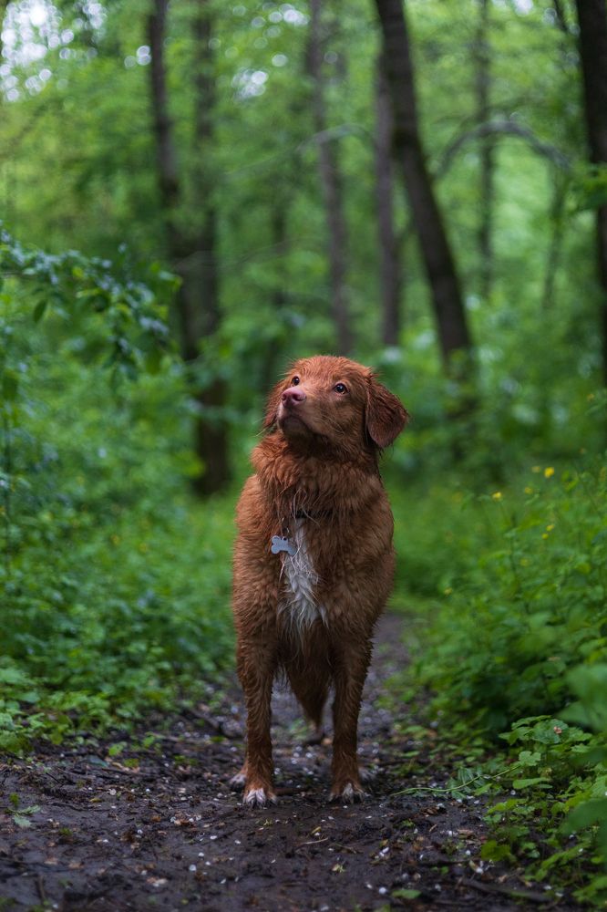 Фотография автора Нино Елисеева