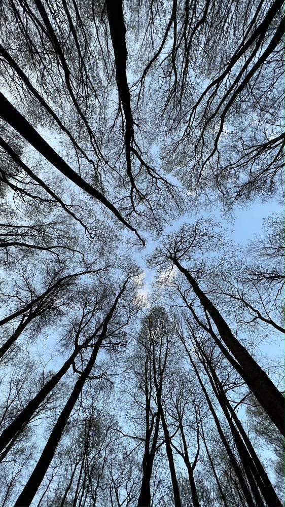 Photograph by Маргарита Алюхина