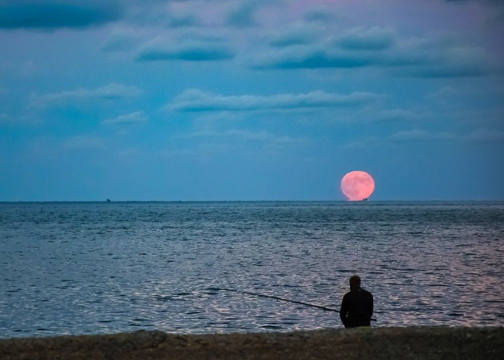 Photograph by Teresa Molinaro