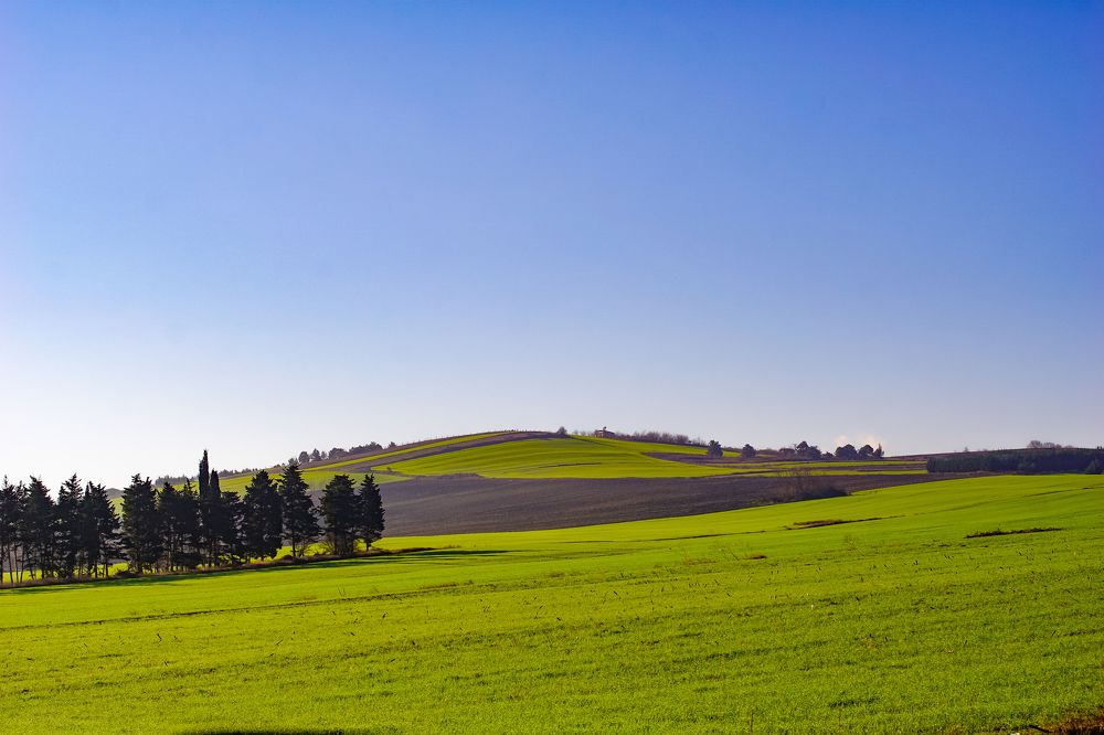 Photograph by Khosro Judi