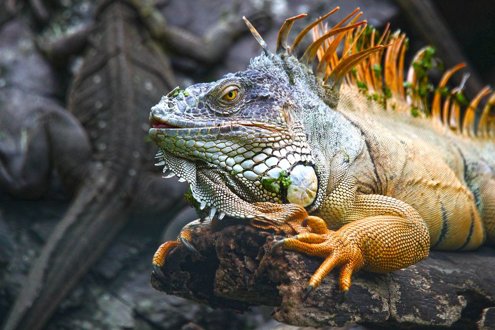 Photograph by reymart sefuentes