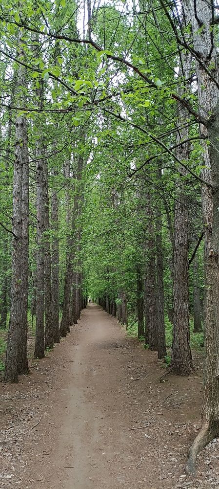 Photograph by Дмитрий Хайбулин