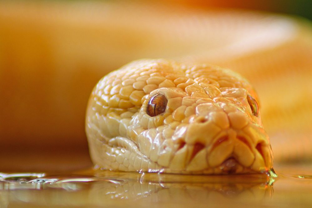 Photograph by reymart sefuentes