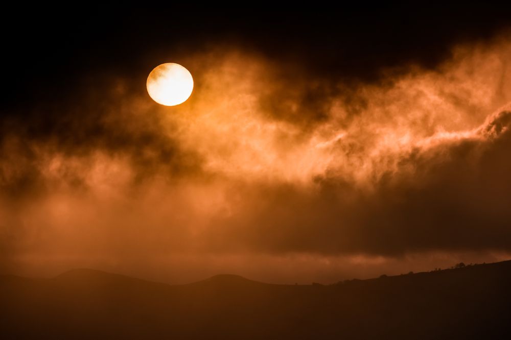 Photograph by Teresa Molinaro