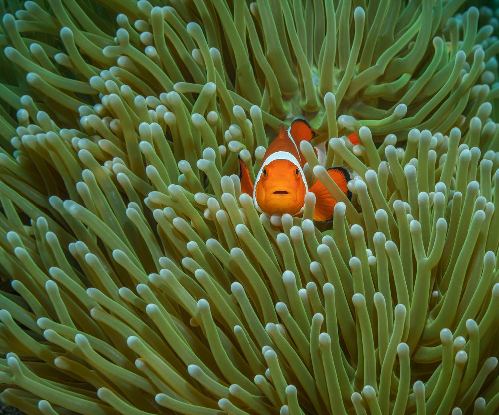 Photograph by Савин Андрей