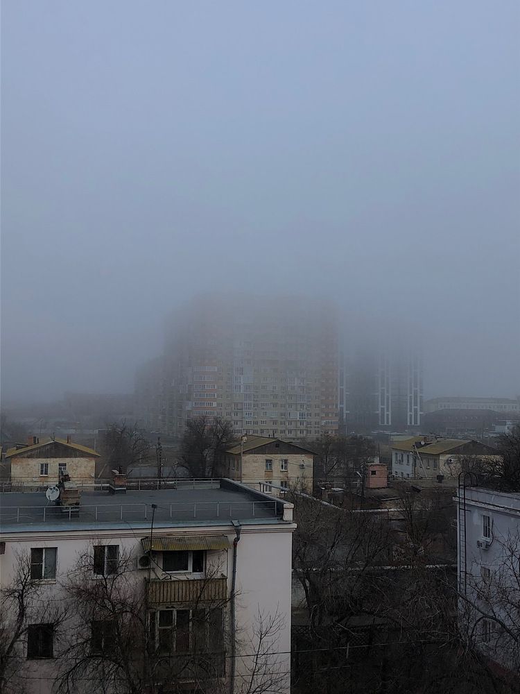 Photograph by Zulfira