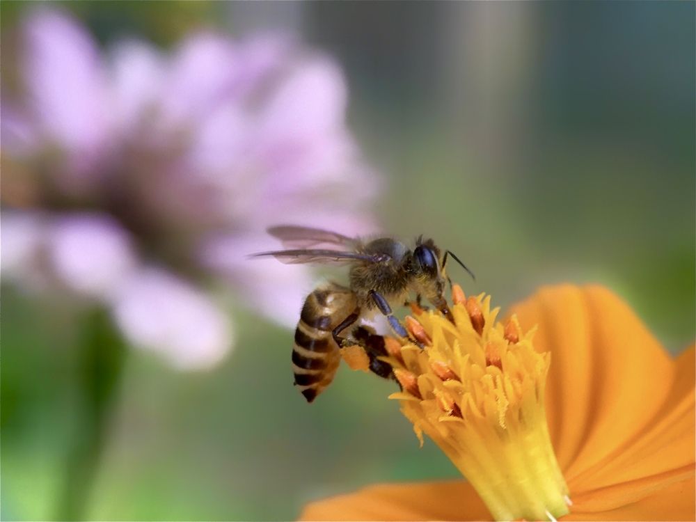 Photograph by Tania Herdianti