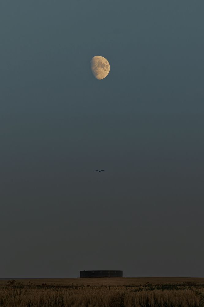 Photograph by Alberto (aavcaptures) Alonso