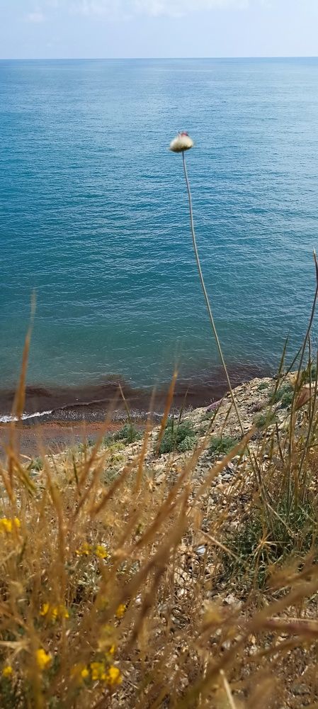 Photograph by Дмитрий Хайбулин