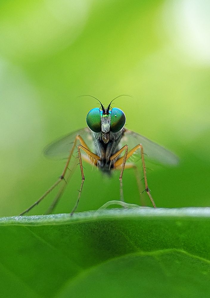 Photograph by Sumitava Chowdhury