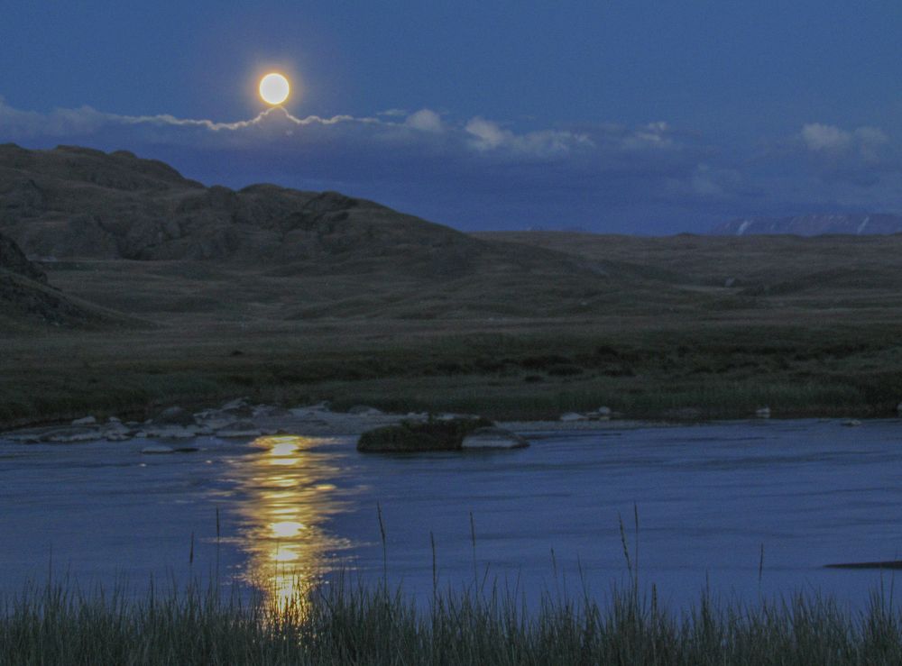 Фотография автора Александр Довганюк