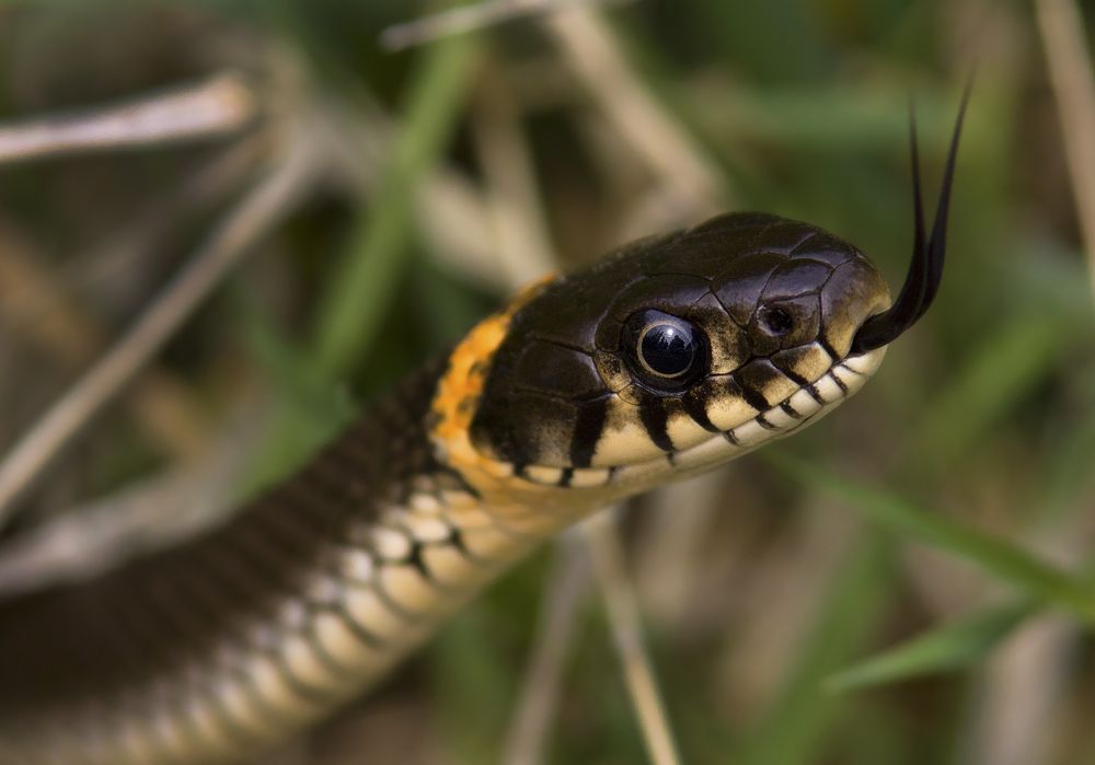 Photograph by Олег Тетерин