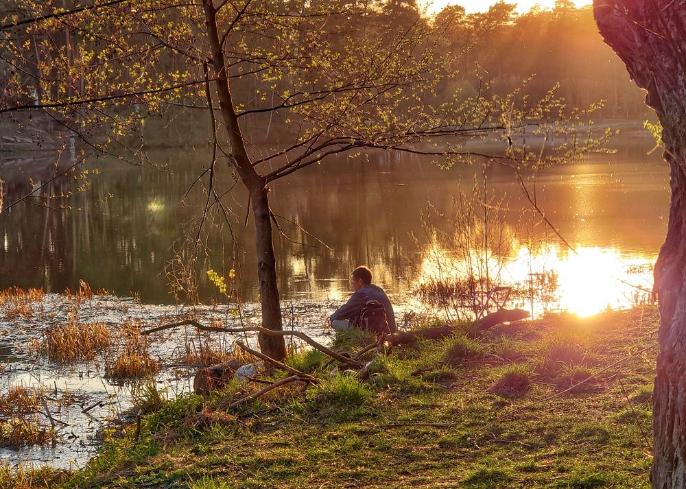 Весенний дзен.