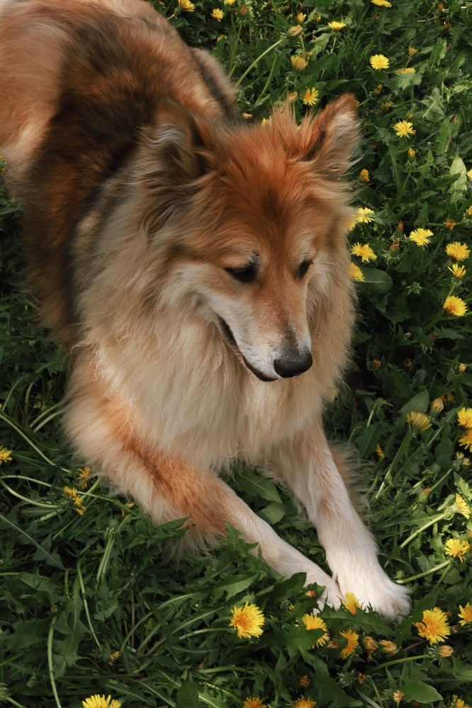 Photograph by Саша Никульникова