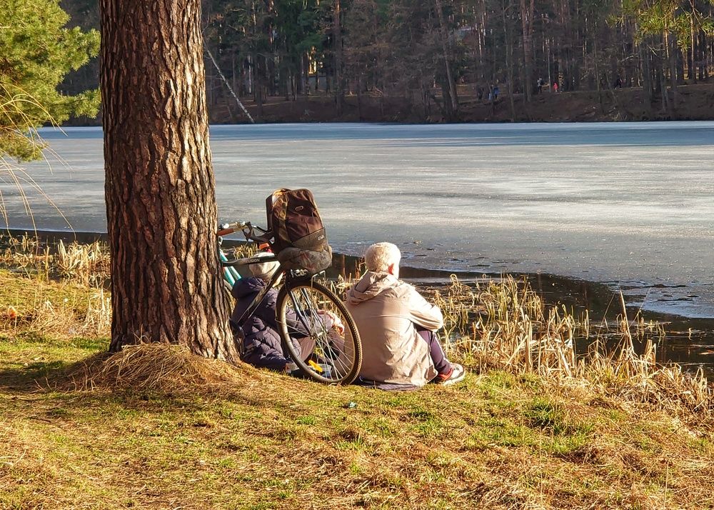 Весенний дзен.