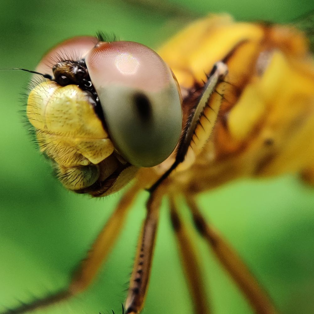 Photograph by ALPHY KR