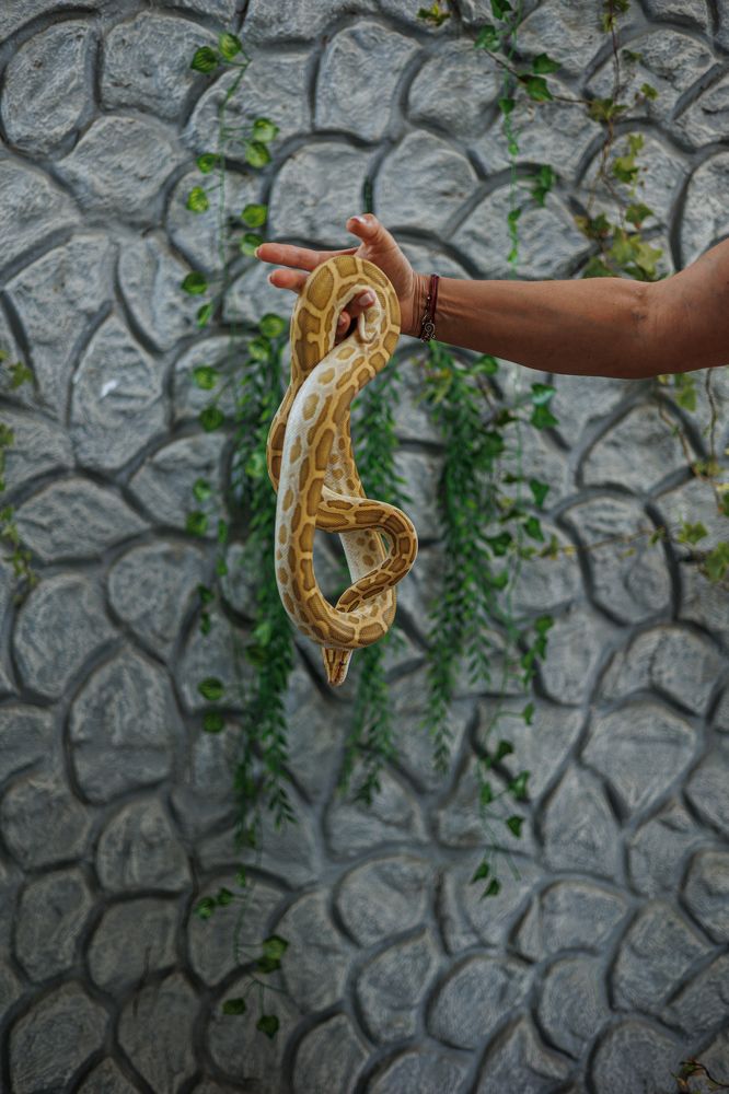 Photograph by Елена Харькова