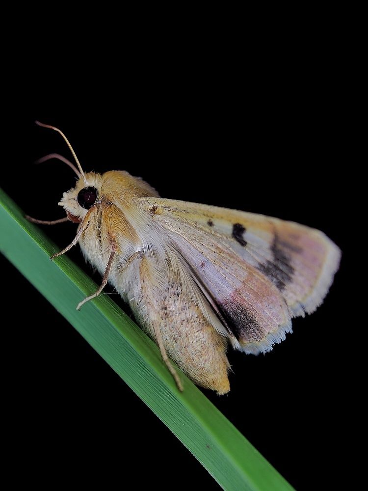 Photograph by Ajay rana