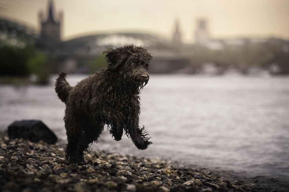 Photograph by Deise de Oliveira