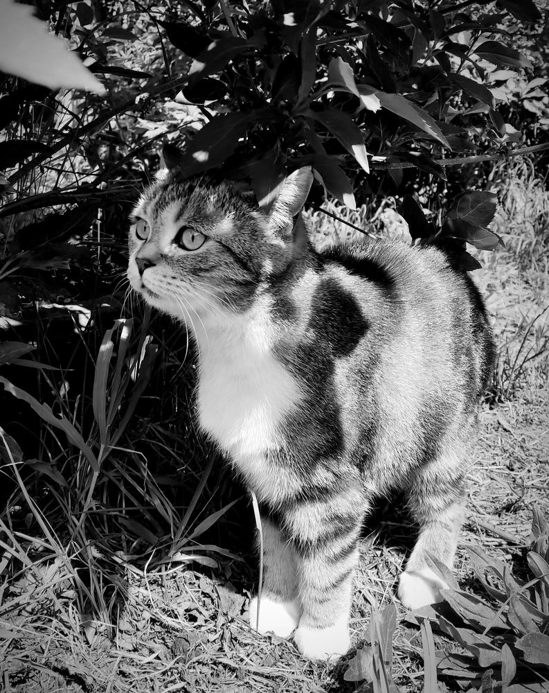 Photograph by Ольга Бондаренко