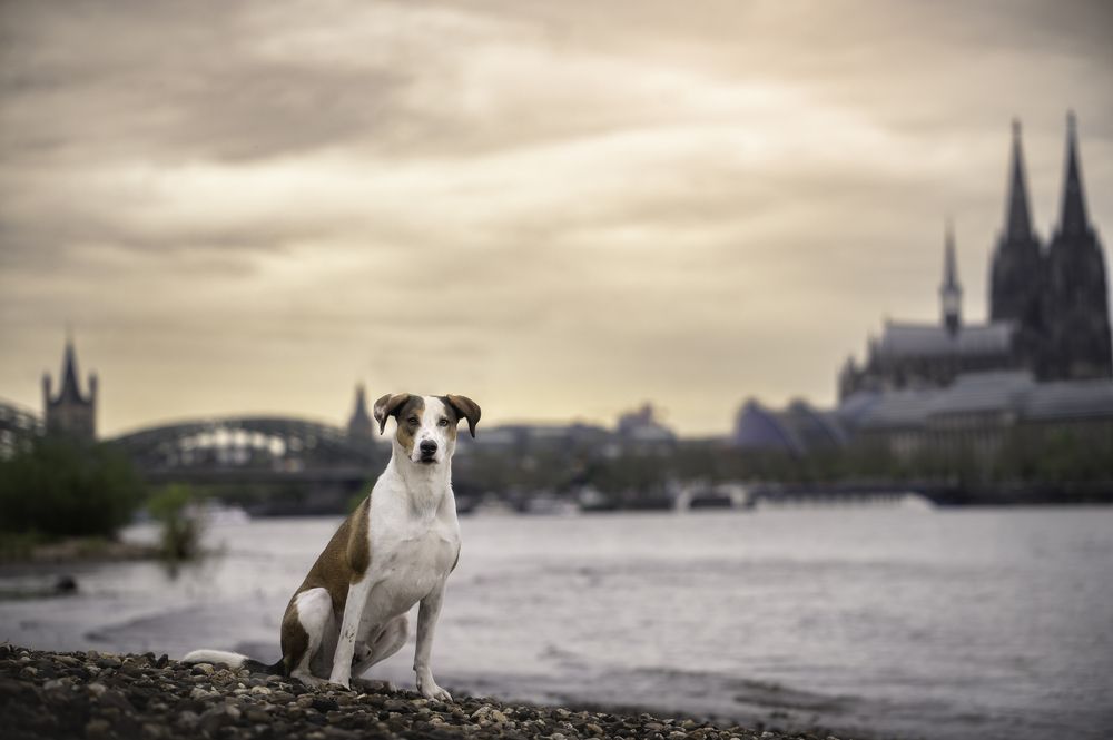 Photograph by Deise de Oliveira