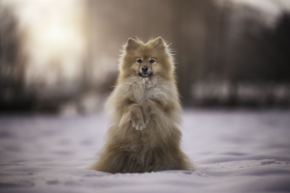 Photograph by Deise de Oliveira