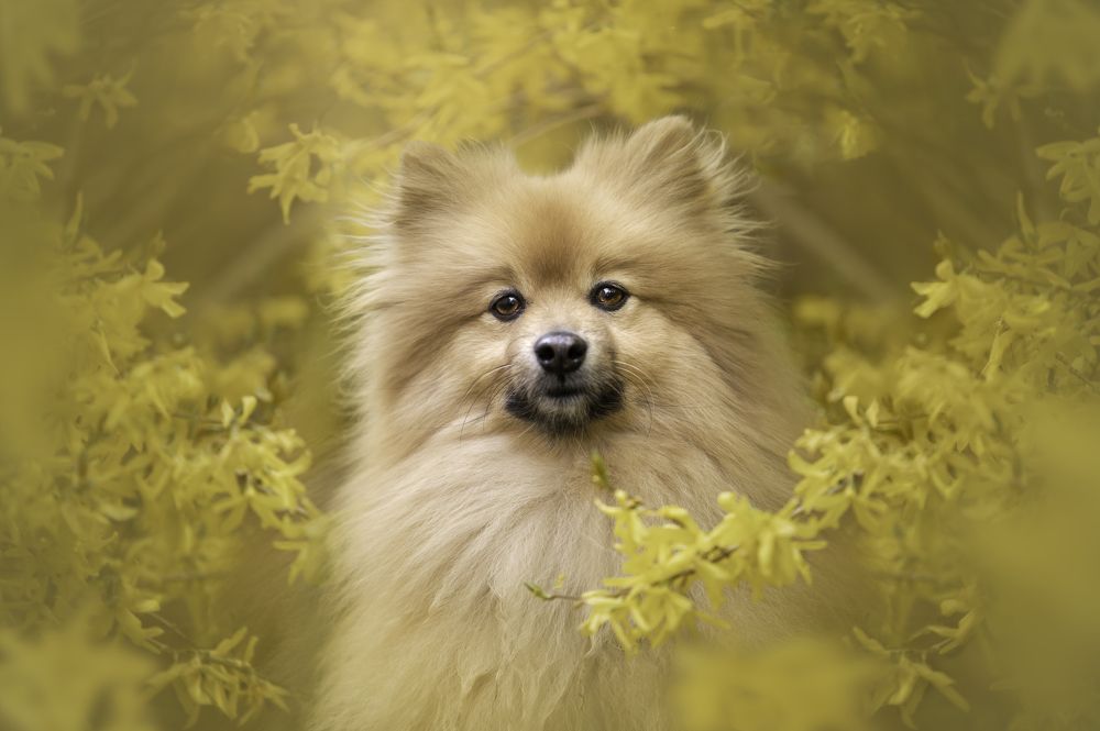 Photograph by Deise de Oliveira