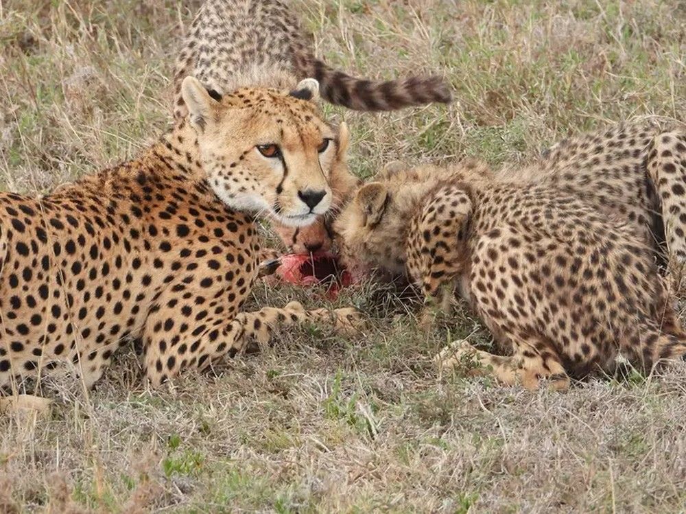 Photograph by KASSIM MOHAMMED KISSIWA