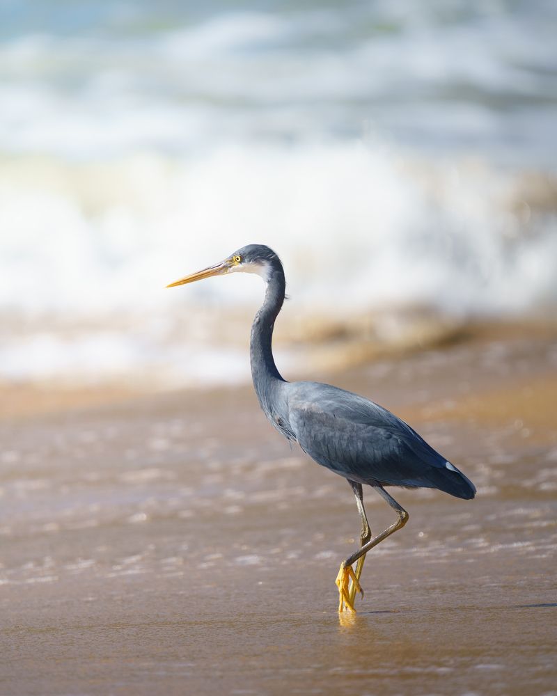 Photograph by Vishnu Melathil