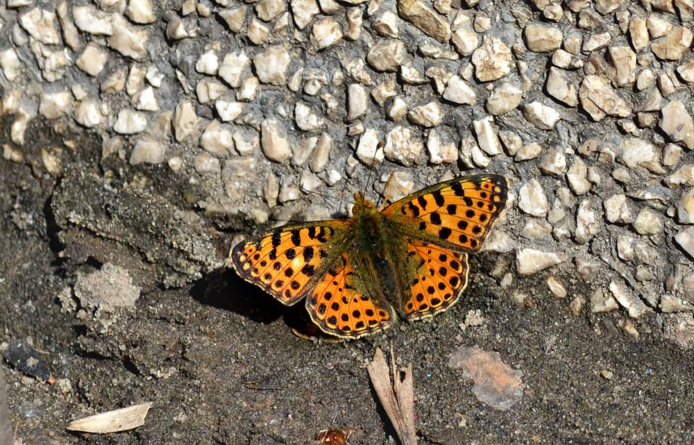 Photograph by Марина Магадиева