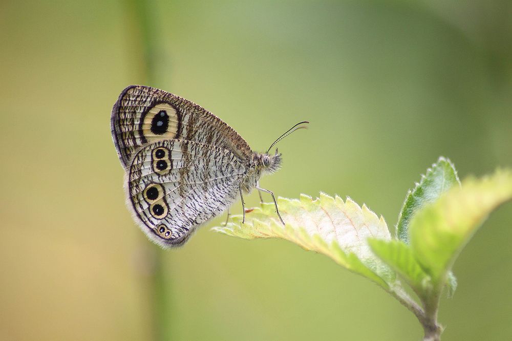 Photograph by reymart sefuentes