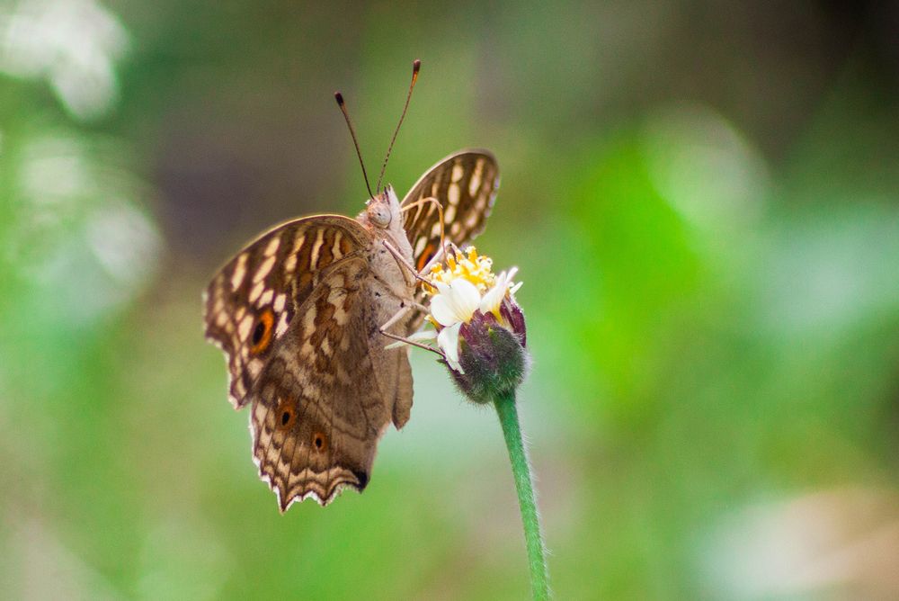 Photograph by reymart sefuentes