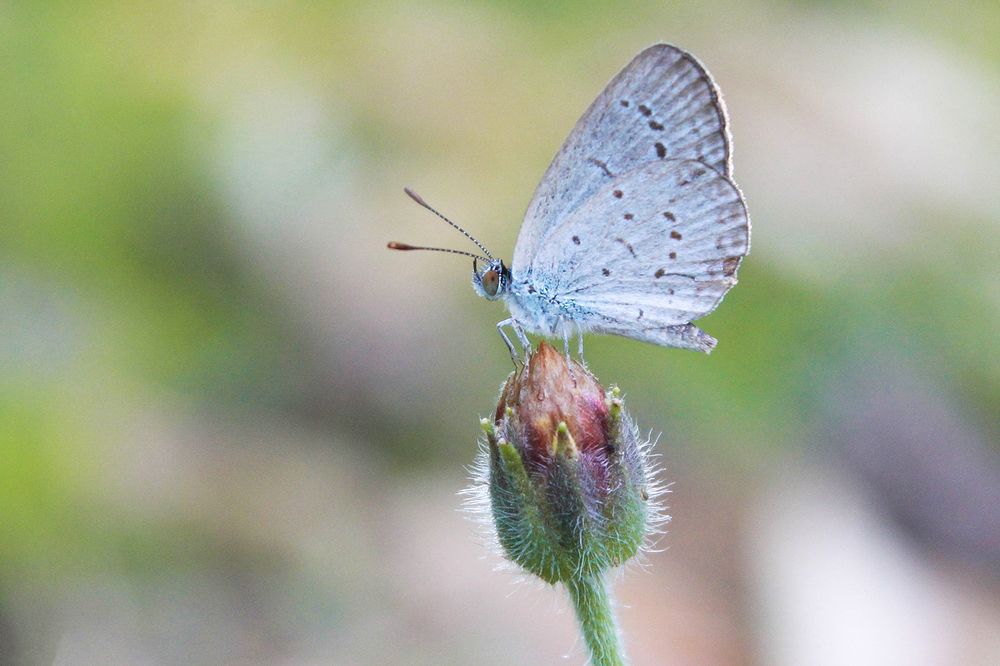 Photograph by reymart sefuentes