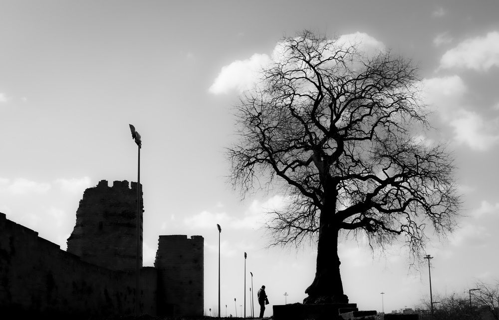 Photograph by gökhan günay