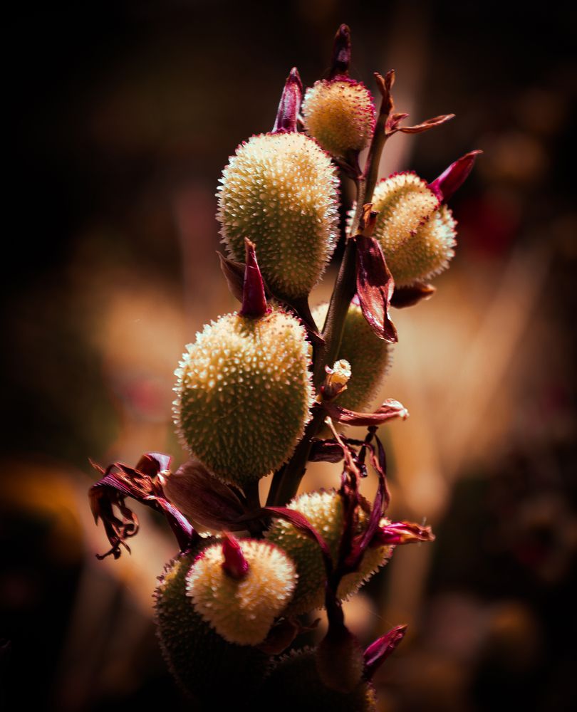 Photograph by Marwa Mohamed Mostafa