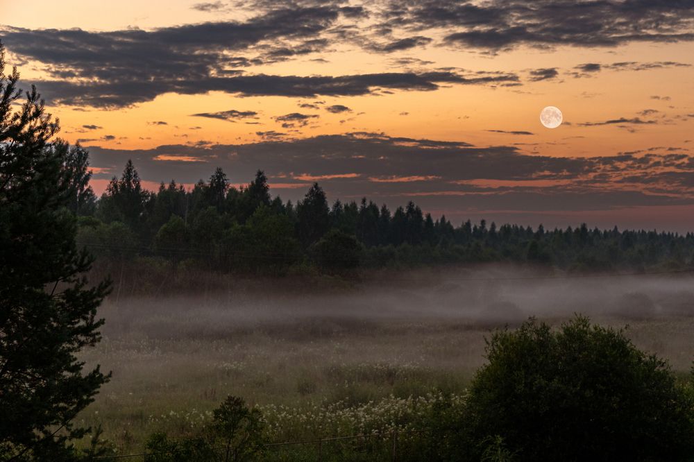 Фотография автора 
