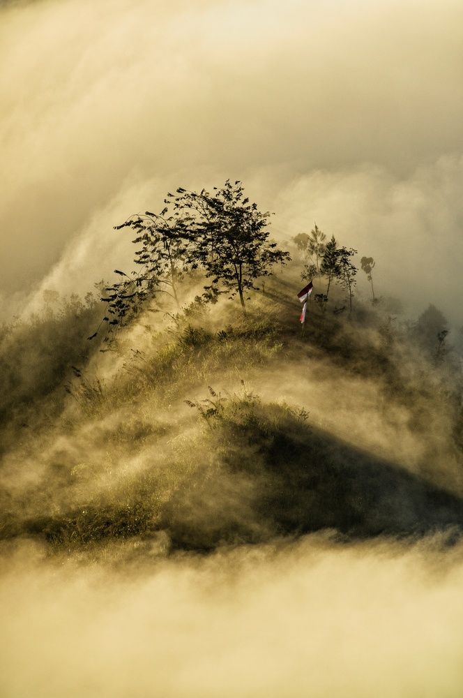 Photograph by M.Sairoji.A