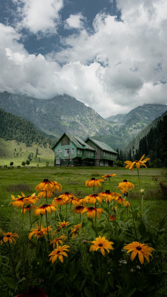 Photograph by Anita Prasad