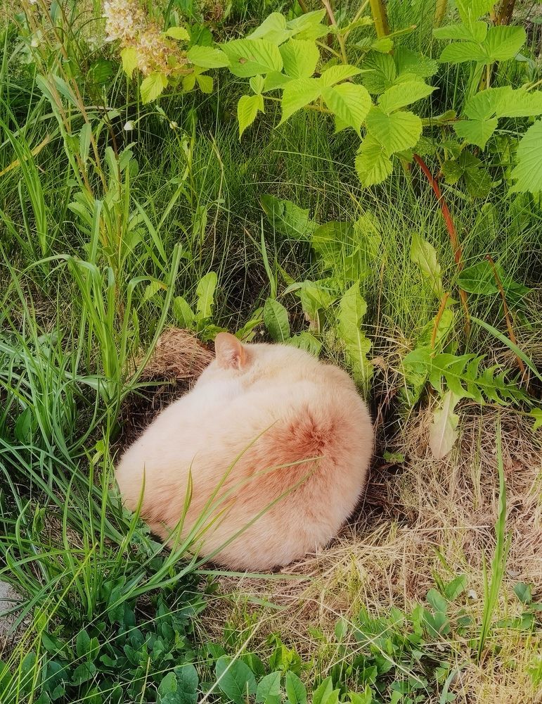 Photograph by Филоненко Николай