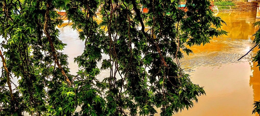 Photograph by Rehana