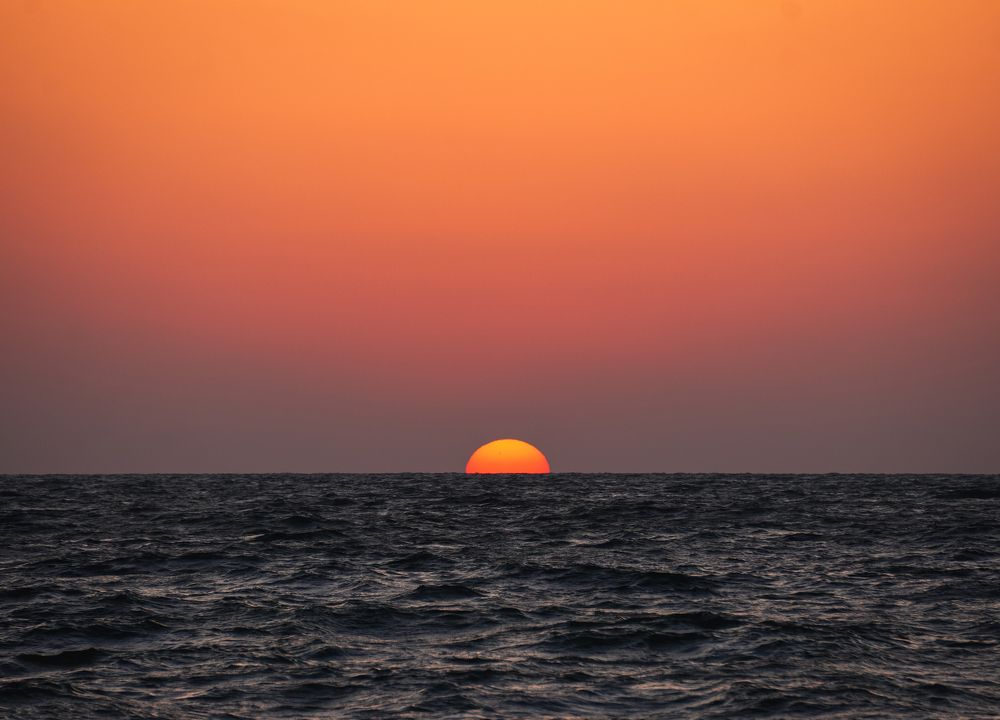 Photograph by Soumyojit Sinha
