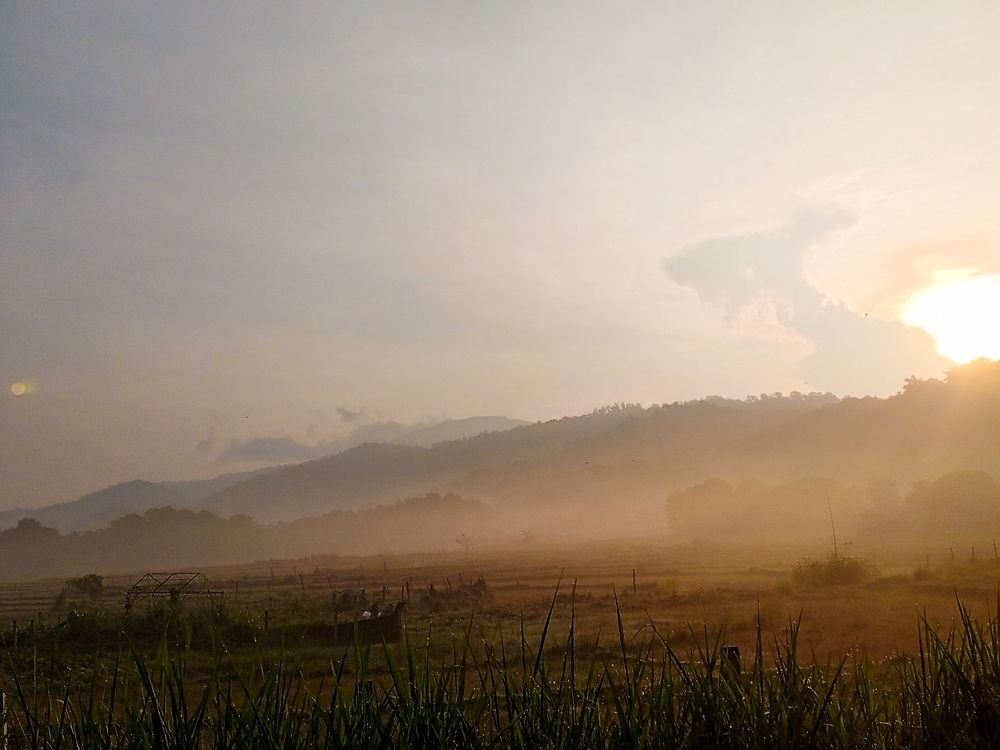 Morning drive